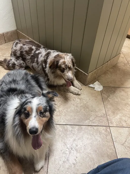 Argyle Veterinary Hospital Picture 6