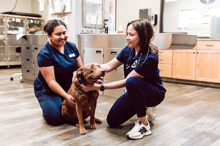Bartonville Veterinary Center Picture 1