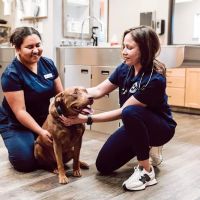 Bartonville Veterinary Center ico