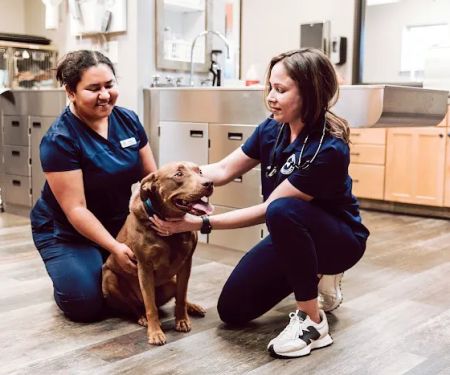 Bartonville Veterinary Center