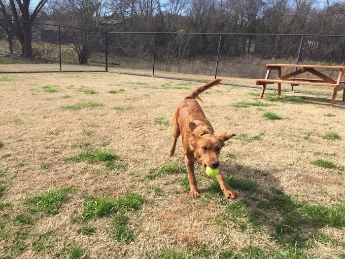 Bartonville Veterinary Center Picture 5