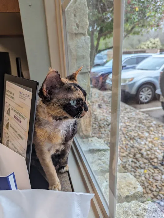 Bartonville Veterinary Center Picture 3
