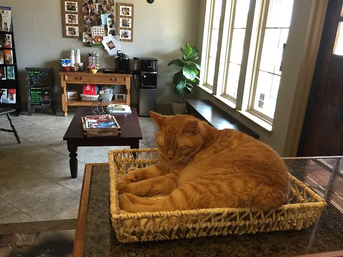 Bartonville Veterinary Center Picture 2