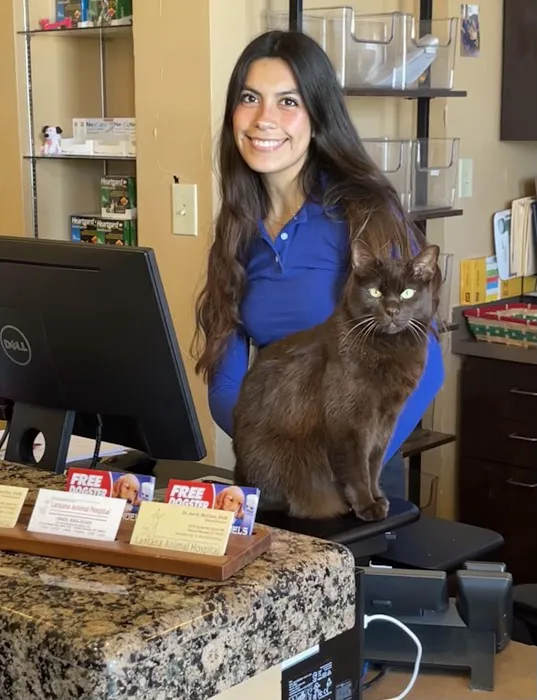 Lantana Animal Hospital Picture 10
