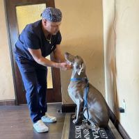 Lantana Animal Hospital ico