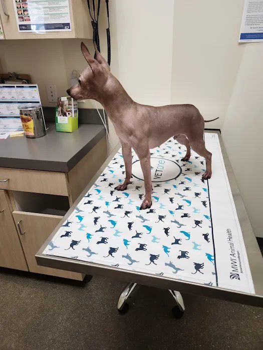 Vetco Total Care Animal Hospital Picture 6