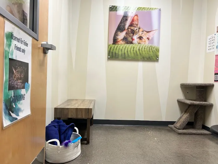 Vetco Total Care Animal Hospital Picture 4