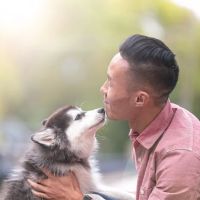 Thrive Pet Healthcare - Saginaw ico