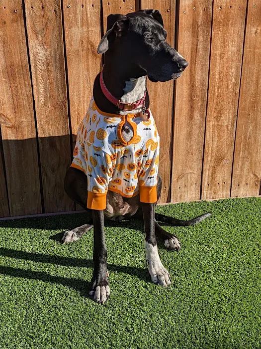 Chisholm Ridge Pet Hospital Picture 8