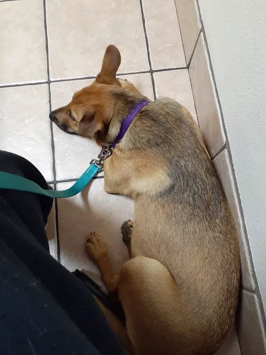 Chisholm Ridge Pet Hospital Picture 3