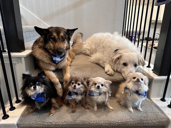 Rickords Animal Hospital Picture 5