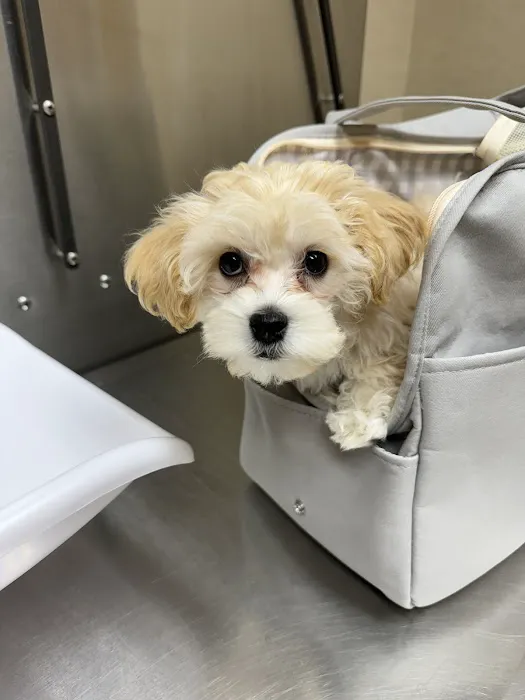 Rickords Animal Hospital Picture 1