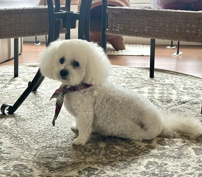 Rickords Animal Hospital Picture 8