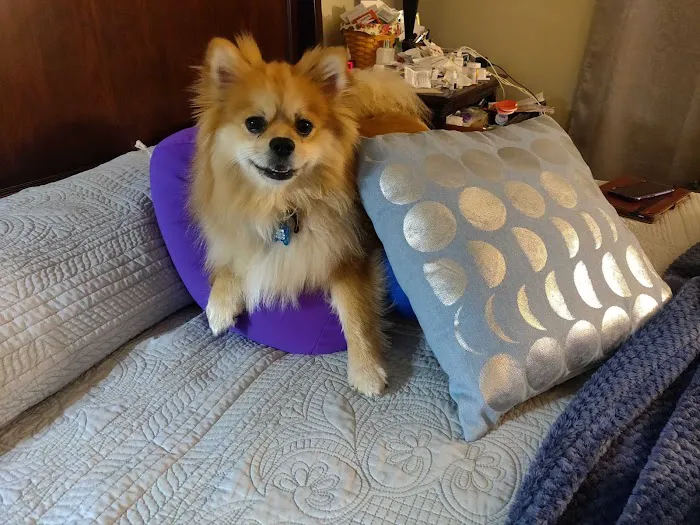Rickords Animal Hospital Picture 2