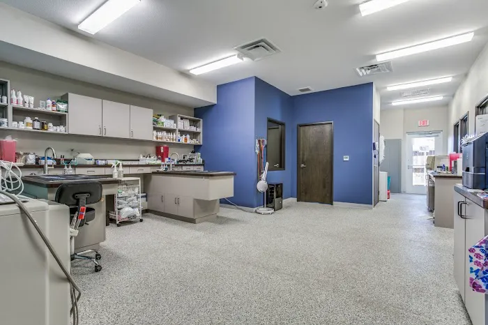 Little Leaf Animal Hospital Picture 10