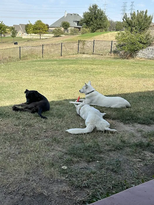 Bonds Ranch Animal Medical Center Picture 8