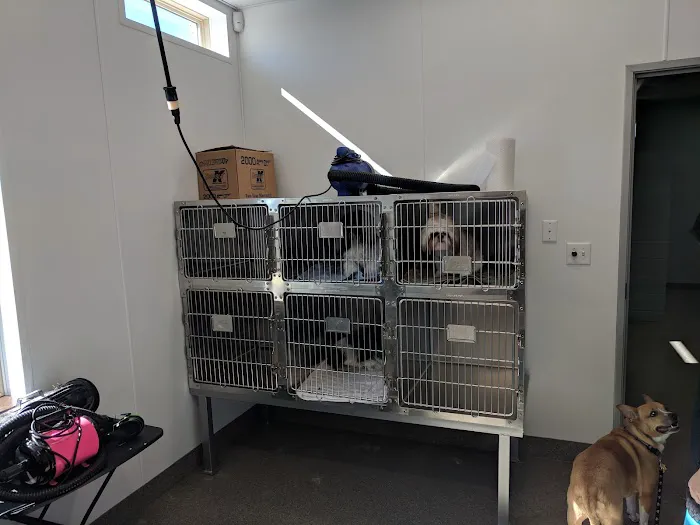 Bonds Ranch Animal Medical Center Picture 9