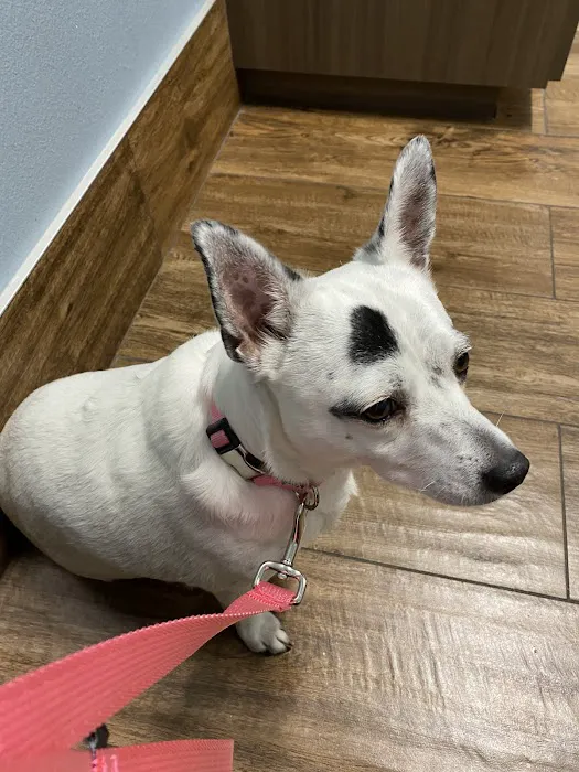 Bonds Ranch Animal Medical Center Picture 1
