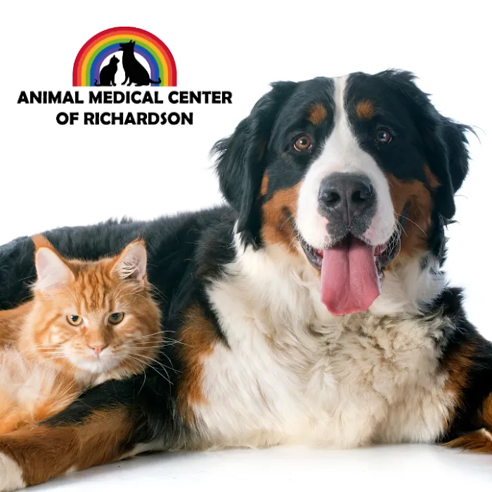 Animal Medical Center of Richardson Picture 3
