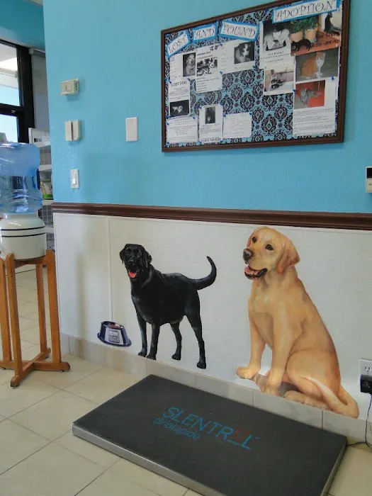 VCA Pet Doctor Animal Hospital Picture 10