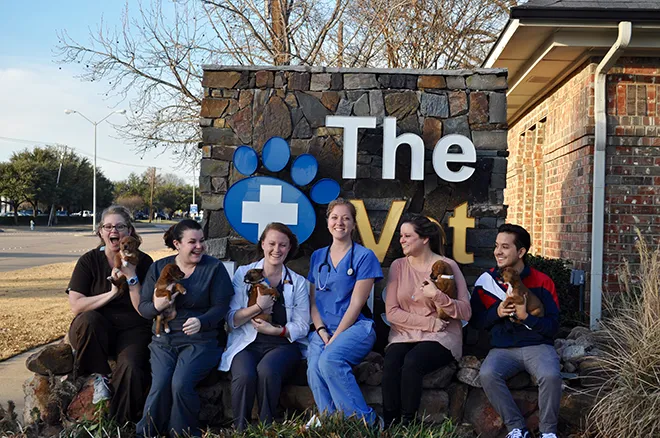 The Vet House Picture 5