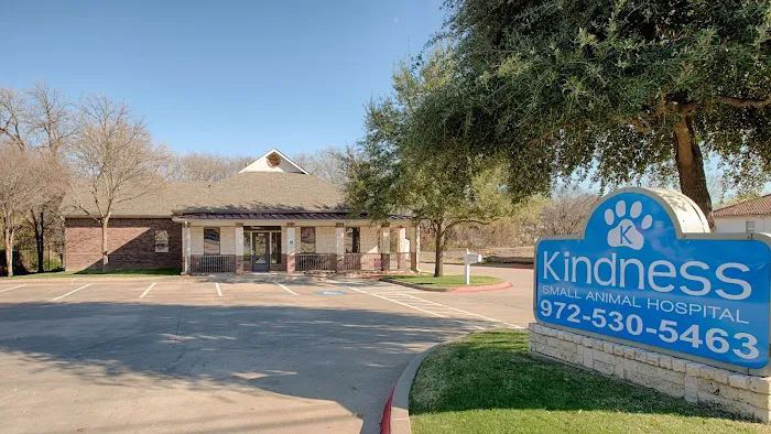Kindness Small Animal Hospital Picture 1