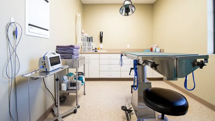 Kindness Small Animal Hospital Picture 3