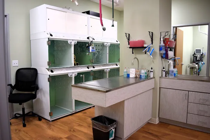Treasured Pets Veterinary Hospital Picture 7
