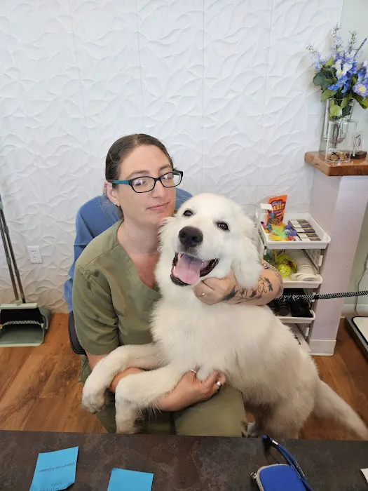 Treasured Pets Veterinary Hospital Picture 6