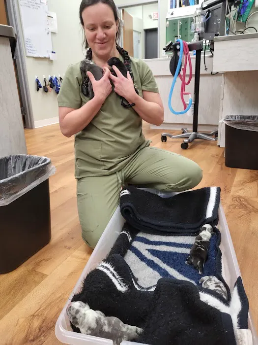 Treasured Pets Veterinary Hospital Picture 10