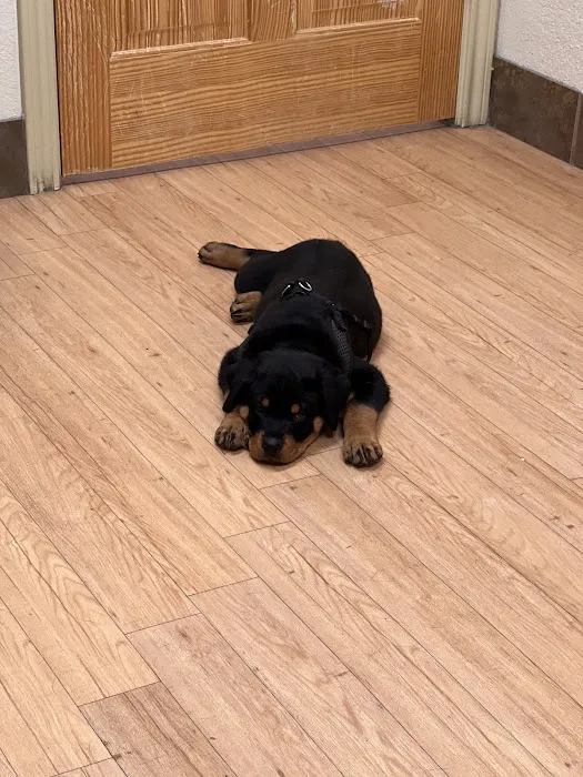 Companion Animal Care Clinic Picture 9