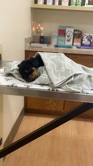 Companion Animal Care Clinic Picture 2