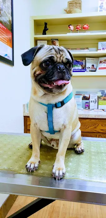 Companion Animal Care Clinic Picture 7