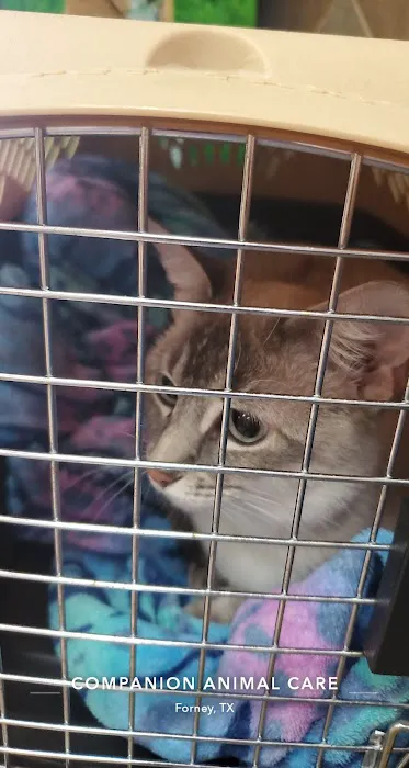 Companion Animal Care Clinic Picture 5