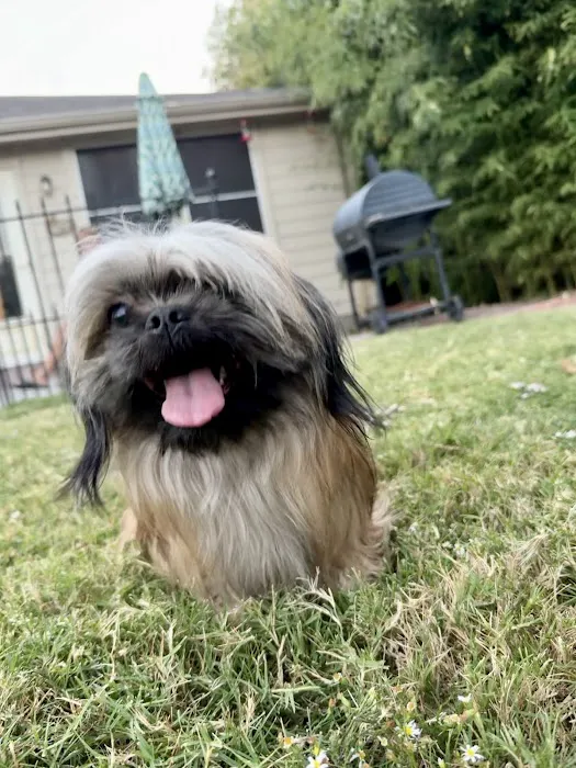Companion Animal Care Clinic Picture 8