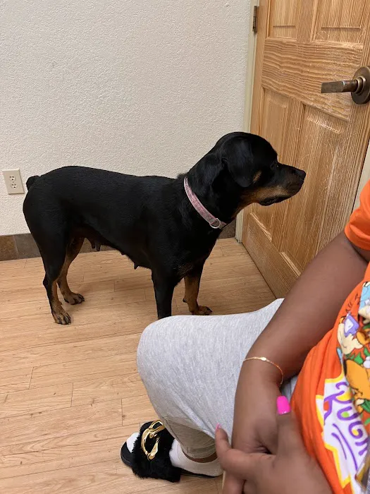 Companion Animal Care Clinic Picture 3
