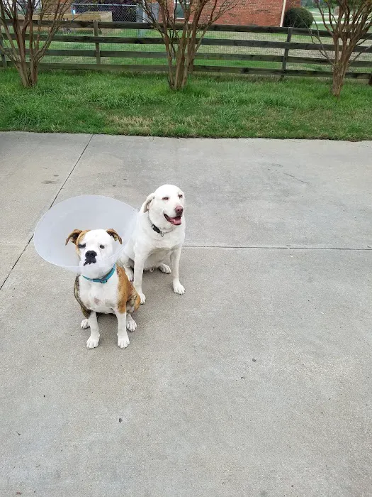 VCA Forney Animal Hospital Picture 10