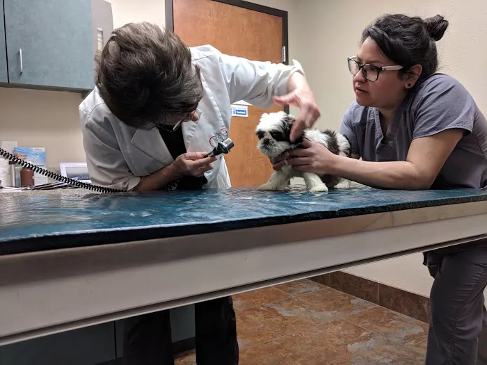 VCA Forney Animal Hospital Picture 6