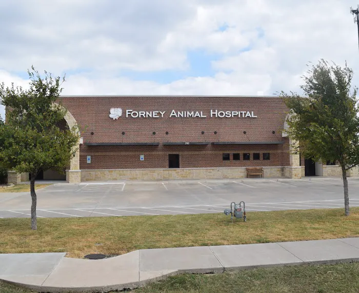 VCA Forney Animal Hospital Picture 7