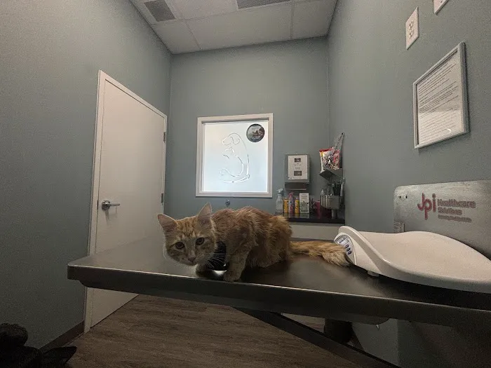 easyvet Veterinarian Forney Picture 1