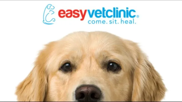 easyvet Veterinarian Forney Picture 2