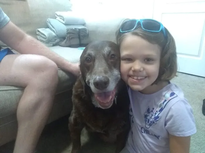 Bluebonnet City Vet Clinic Picture 3