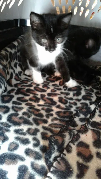 Animal Care Clinic Picture 9