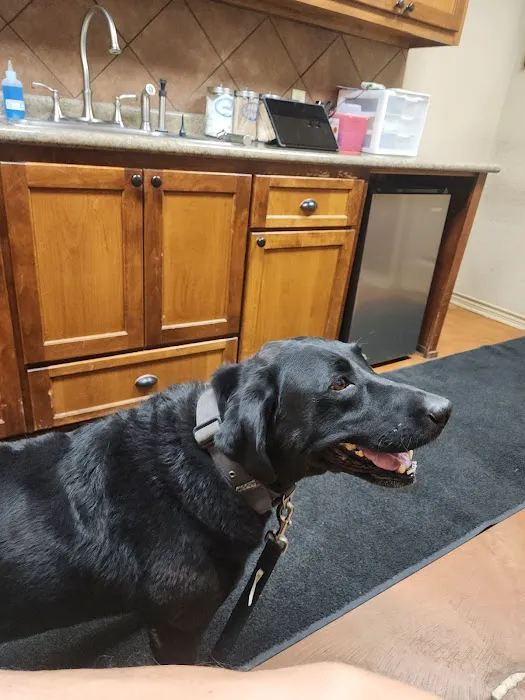 Animal Care Clinic Picture 4