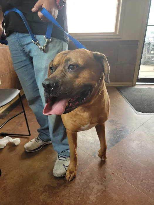 Animal Care Clinic Picture 8