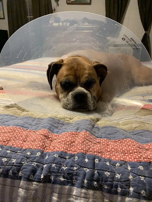 Rogers Animal Hospital Picture 5