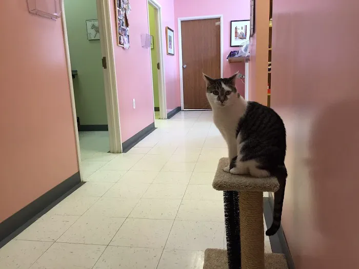 Arbor Pointe Veterinary Hospital Picture 1
