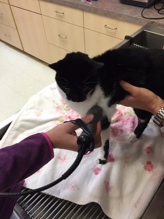 Arbor Pointe Veterinary Hospital Picture 4