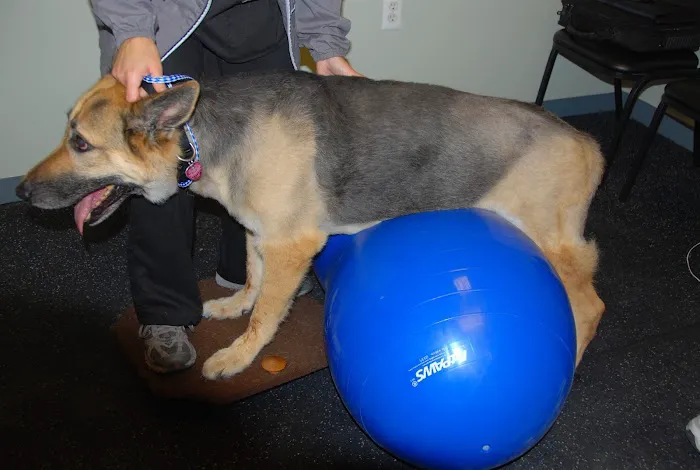 Arbor Pointe Veterinary Hospital Picture 9