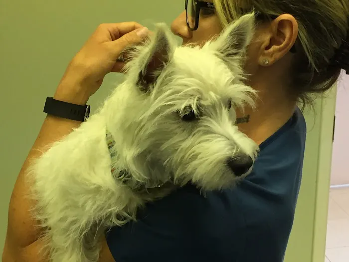 Arbor Pointe Veterinary Hospital Picture 7